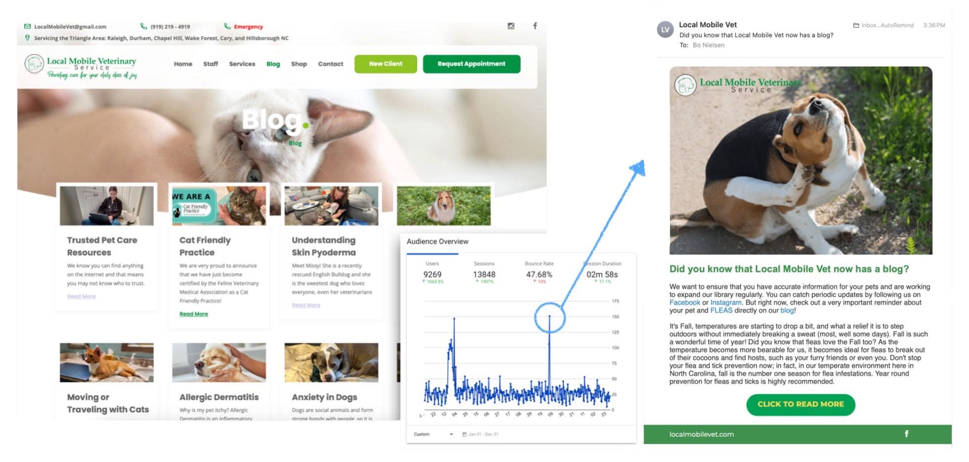 Vet Marketing Email Example